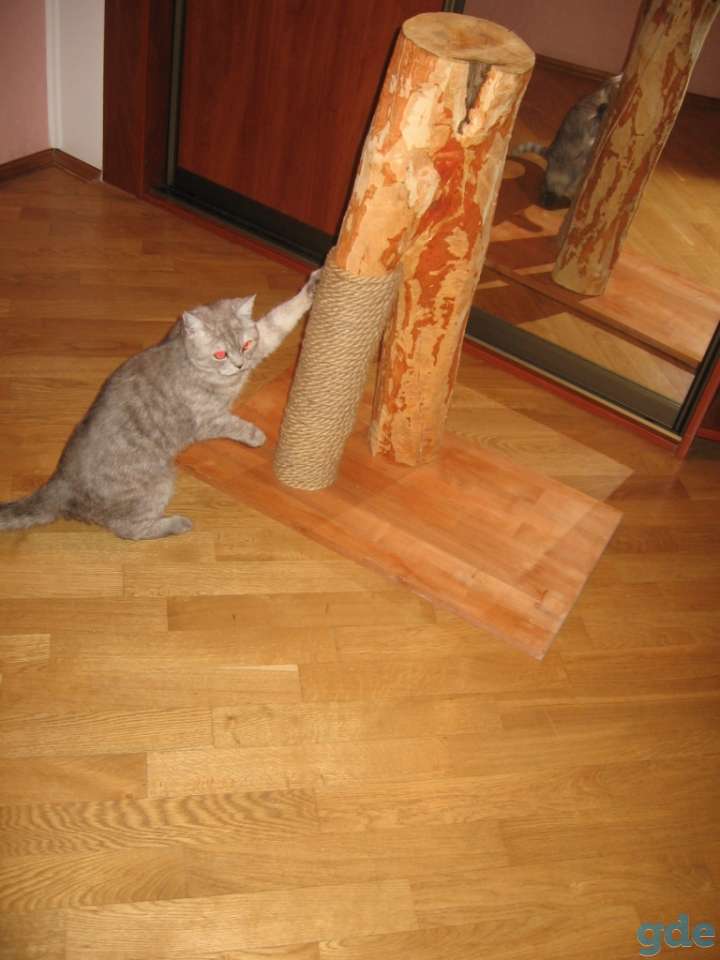 Тренажёр  когтеточка  для  котят и взрослых особей, фотография 1