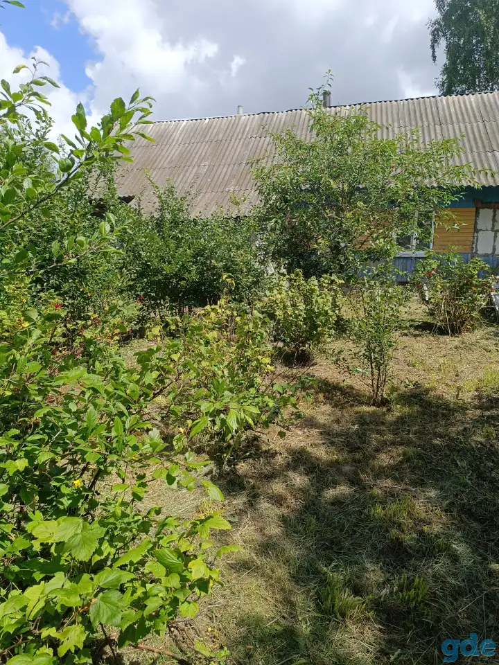 Продам дом с участком, д. мылые Завшицы, фотография 3