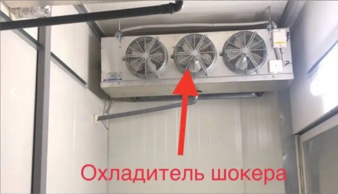 Продаю, ищу партнеров или инвесторов на действующий бизнес по выращиванию грибов шампиньонов и вешенки., фотография 7