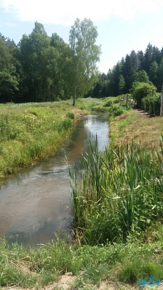 Продаю дом (Вилейка), д. Беловоротица, ул. Лесная, д.5, фотография 8