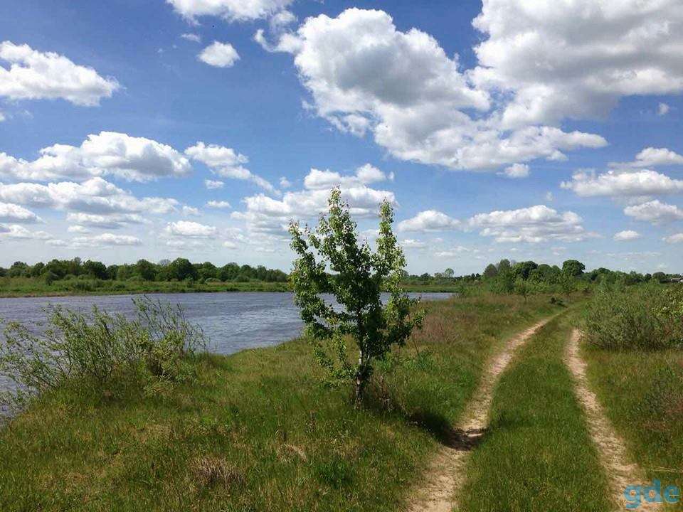 Дом в живописной деревне рядом с Неманом, р-н, д. Лотевка, фотография 14