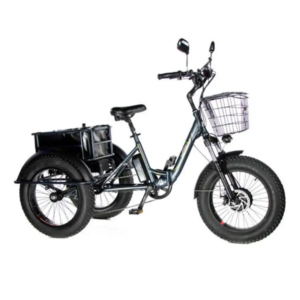 Электровелосипед трицикл e-motions panda 750w, фотография 1