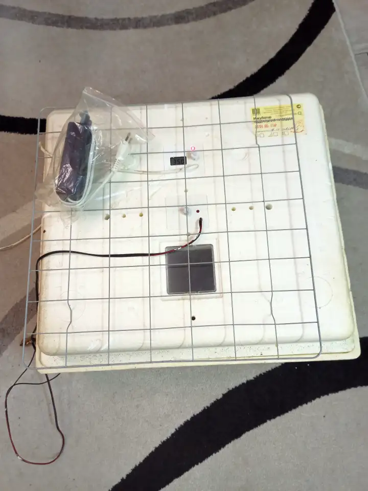 Инкубатор, фотография 1