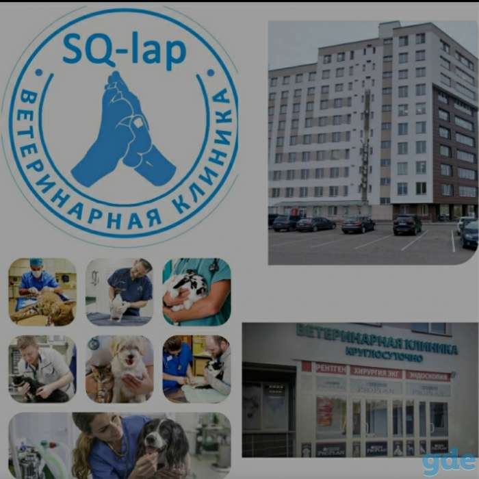 Вакансия ветеринарный врач, фотография 1