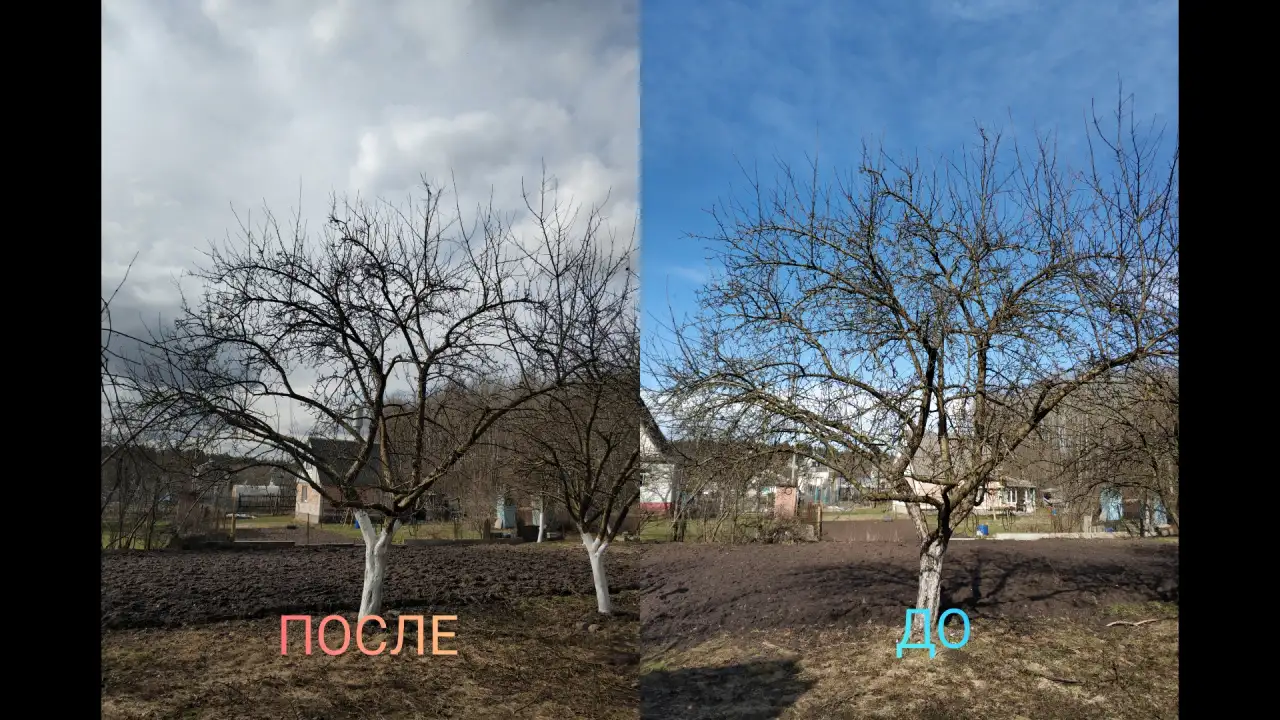 Садовник, уход за садом, фотография 4