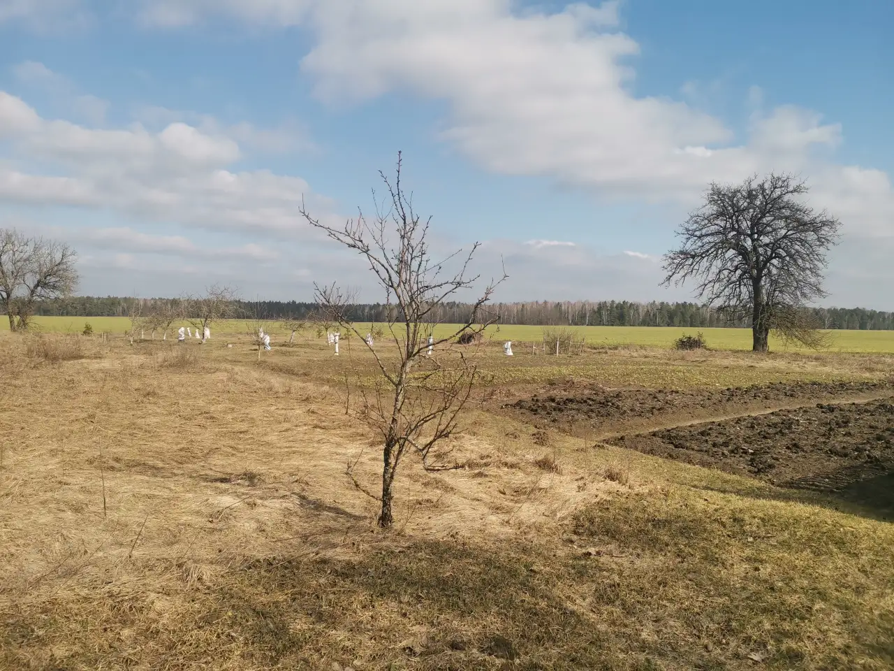 Продам дачу, фотография 3