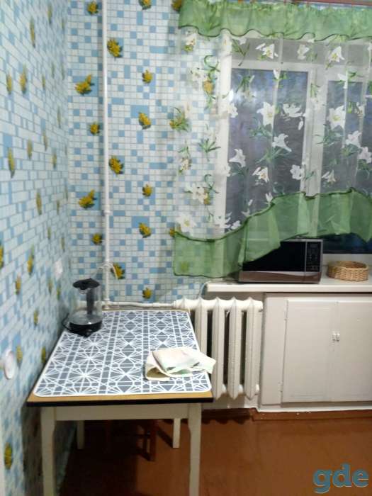 Однокомнатная квартира посуточно, п.Новоколосово, фотография 3