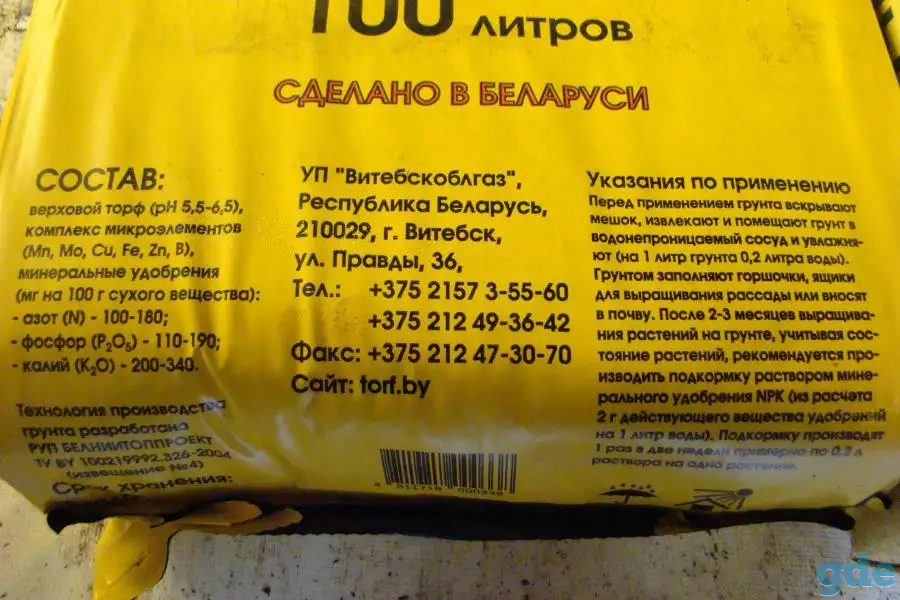 Грунт Двина, фотография 1