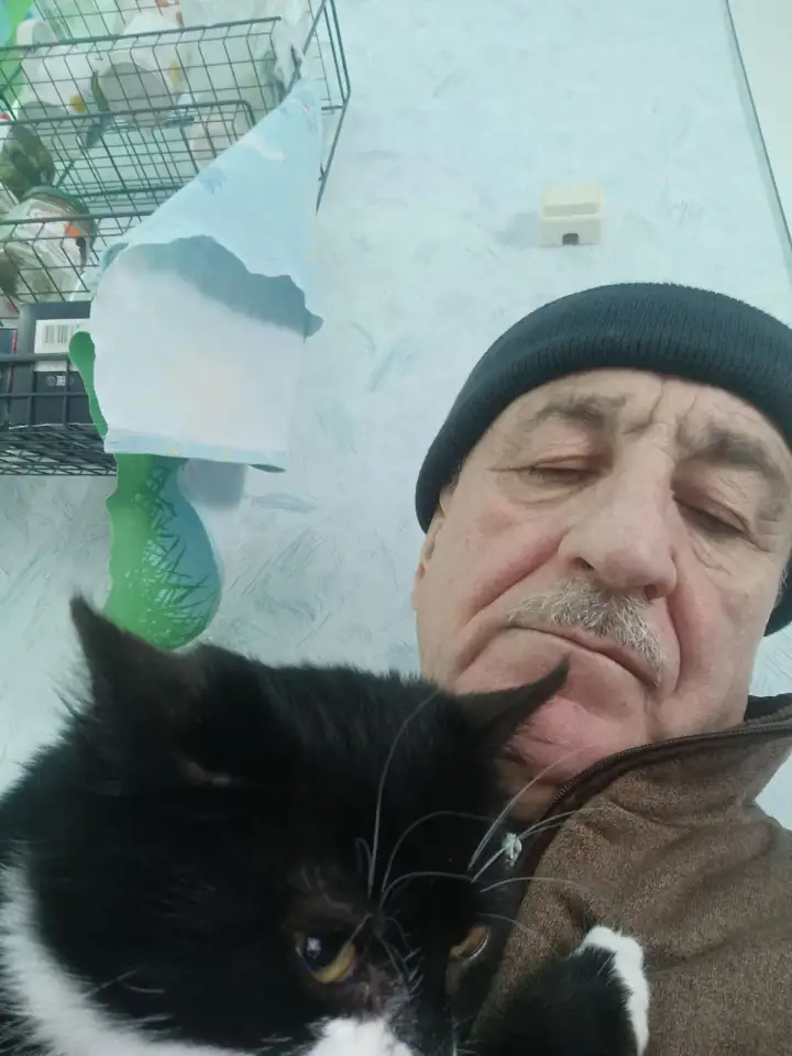 Милых котиков ответственному человеку, фотография 1