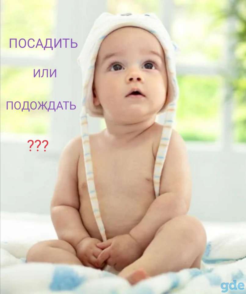 Консультация специалиста по двигательное развитию малыша, фотография 2