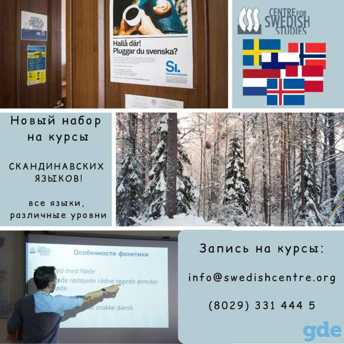 Курсы шведского, норвежского, финского, датского, нидерландского, исландского, фотография 1