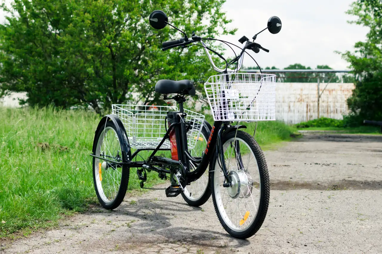 Электровелосипед AVM E-ALFA TRIKE 24, фотография 9