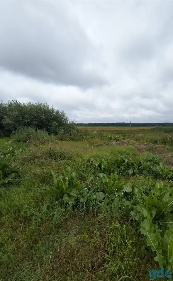Продам участок, Пуховичский ройон, аг  Горелец, фотография 1