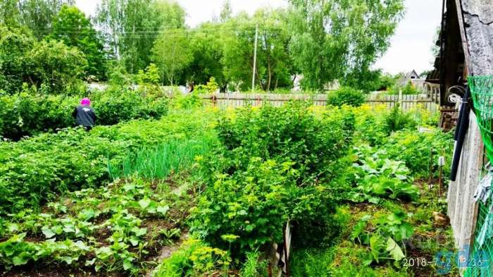 Продам дом, фотография 3