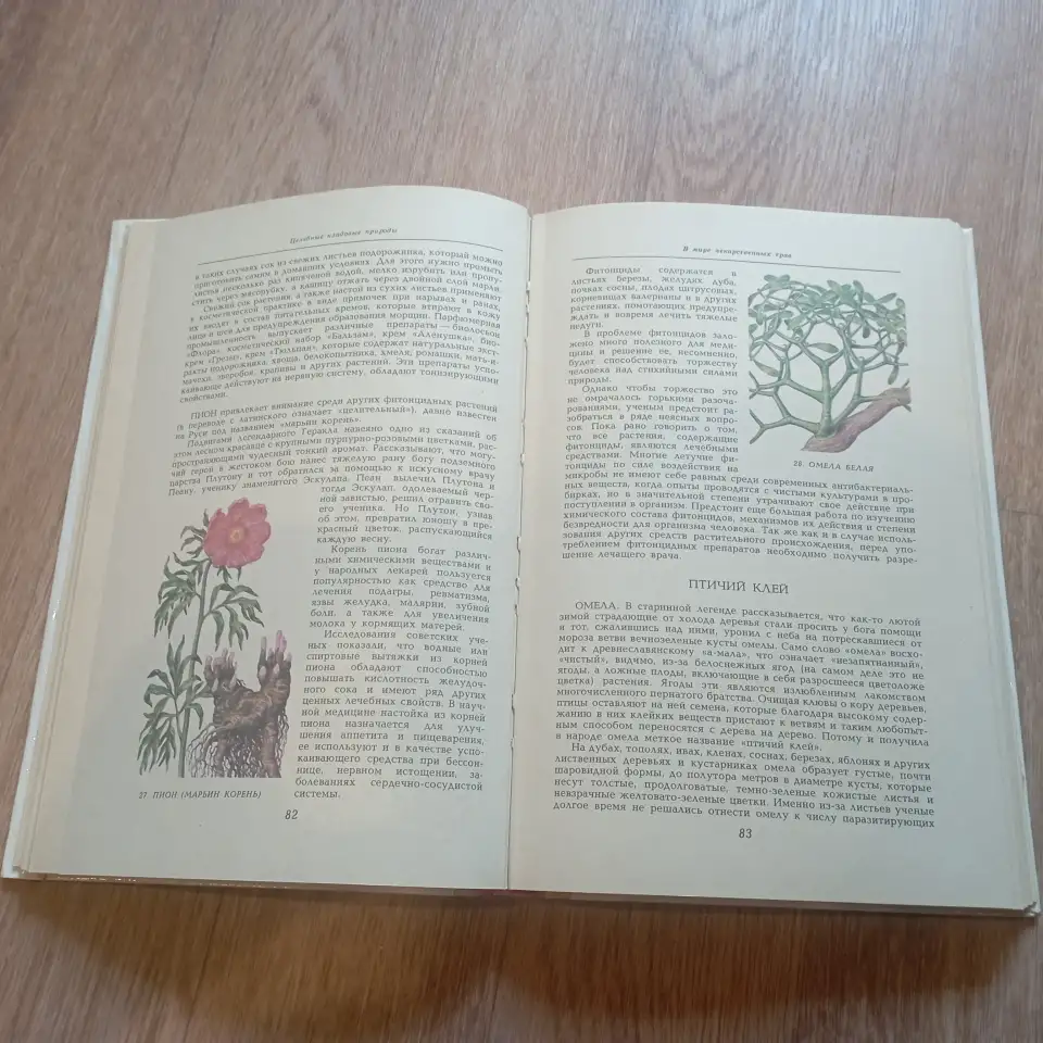 Книга Целебные кладовые природы (Минск, 1979 год), фотография 4