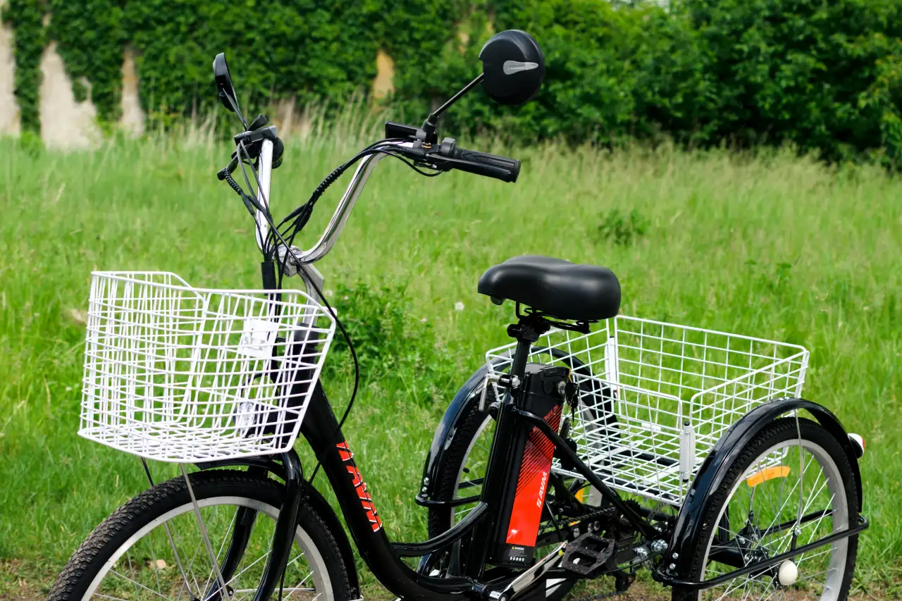 Электровелосипед AVM E-ALFA TRIKE 24, фотография 10