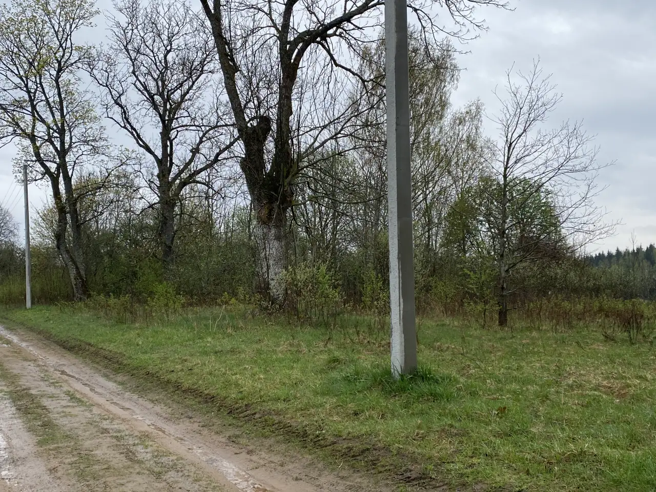 Продам земельный участок 25 соток недалеко от Плещениц, фотография 2