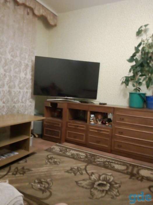 Сдаю 1-комнатную квартиру, зод, фотография 1