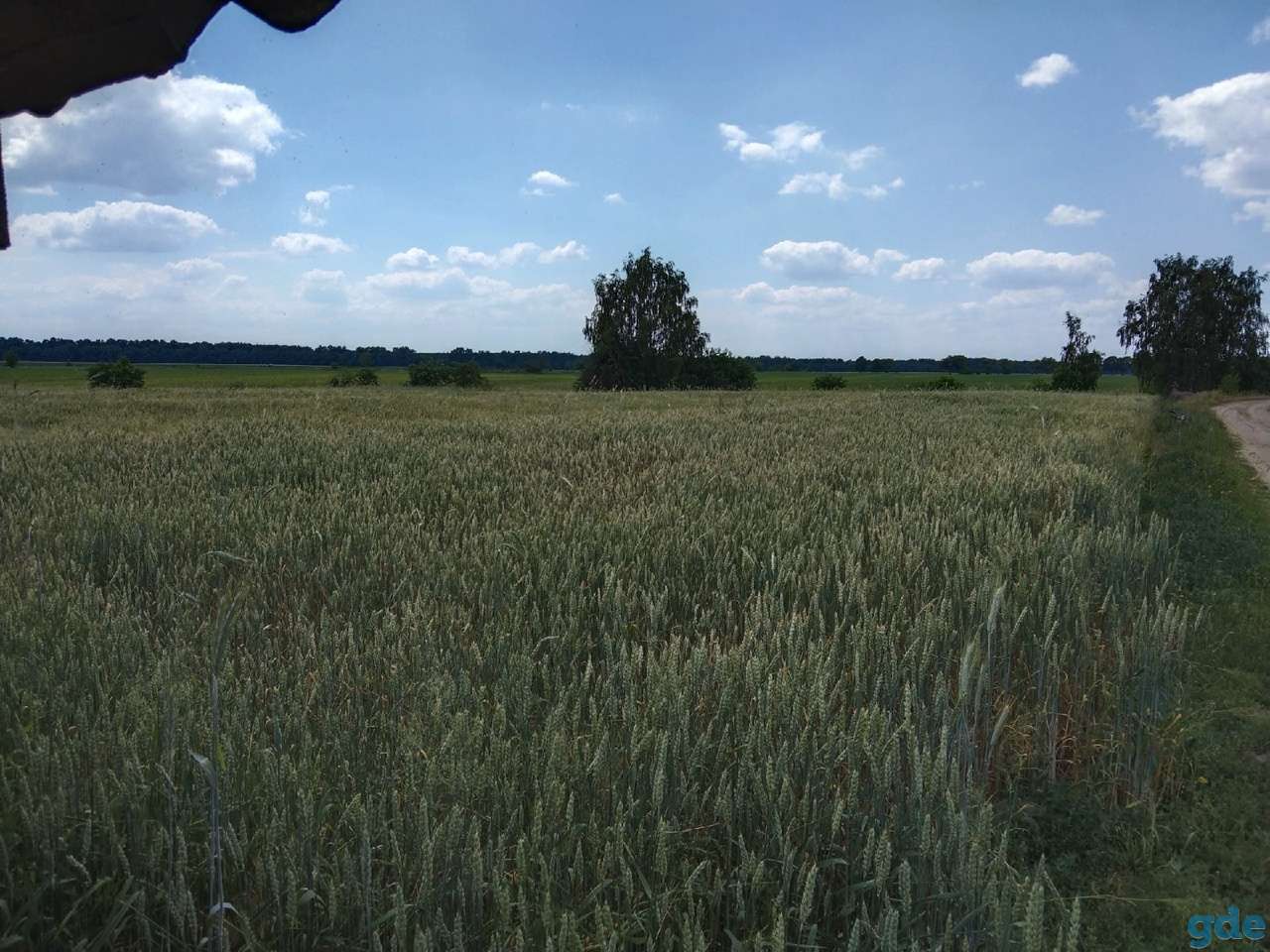 Продажа дома, ул. Каленковича, д. 19, д. Цна, район, Брестская область., фотография 7