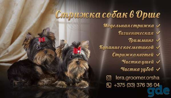Стрижка собак разных пород, фотография 1