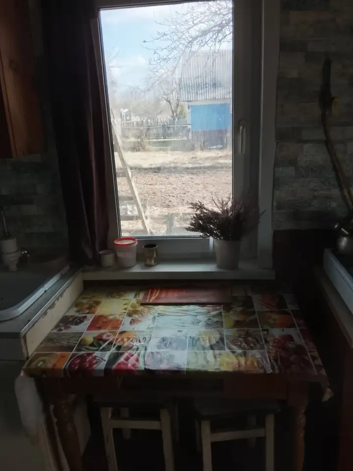 Дом с участком и садом, обл. Стародорожский район, дер. Рабак., фотография 13