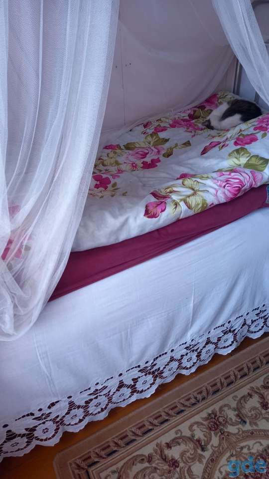 Сдаётся дом 30 км. от озера Нароч., фотография 2