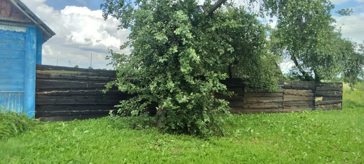 александр, полевая 9, фотография 5