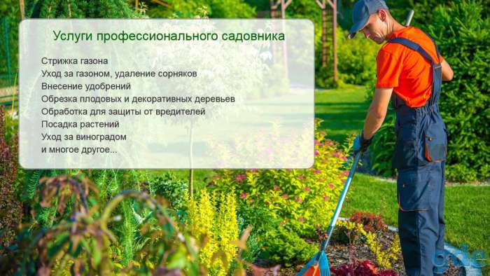 Уборка садового участка. Расчистка. Уход., фотография 2