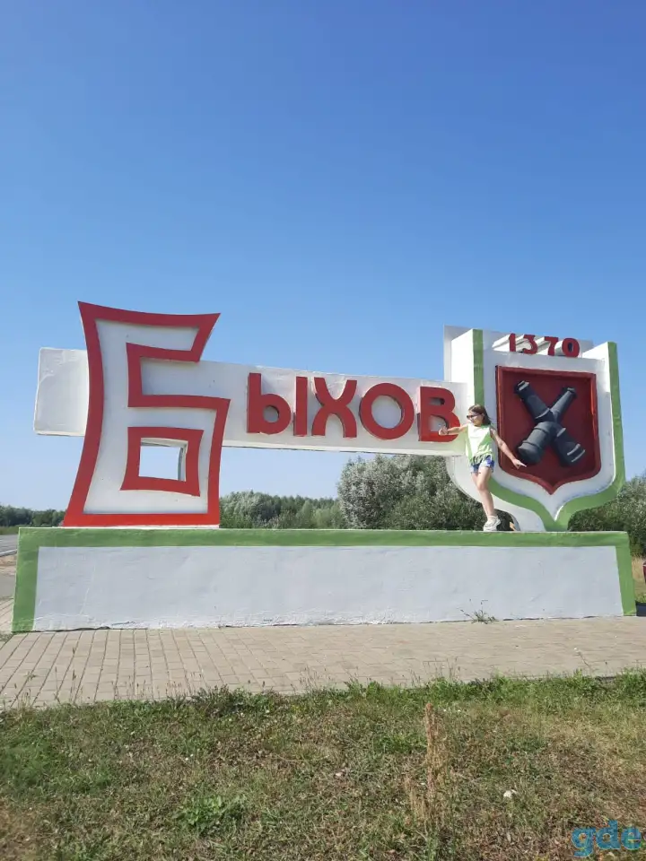 Продаю квартиру в центре г. Быхово, фотография 9