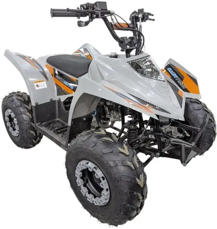 Квадроцикл Regulmoto SK11 (к-т з/ч), фотография 5