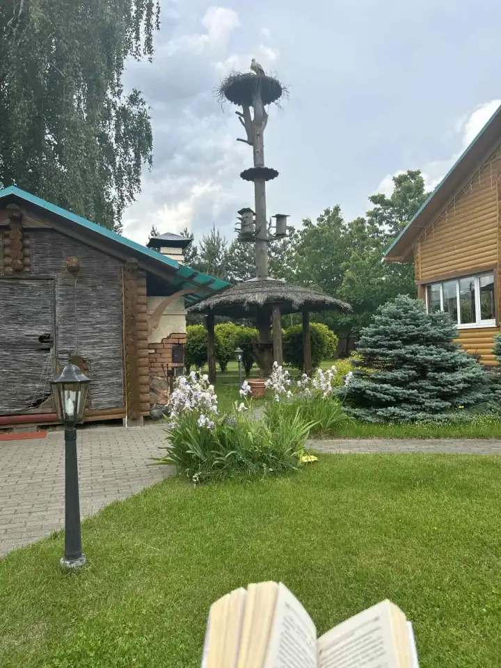 Сдача дома на Нарочи, Занарочь, р-н., фотография 19