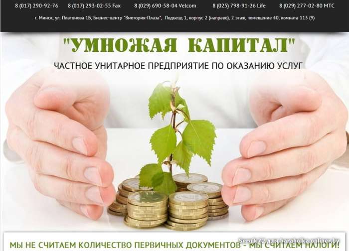 Бухгалтер. Ведение бухгалтерского учета удаленно. Центр., фотография 1