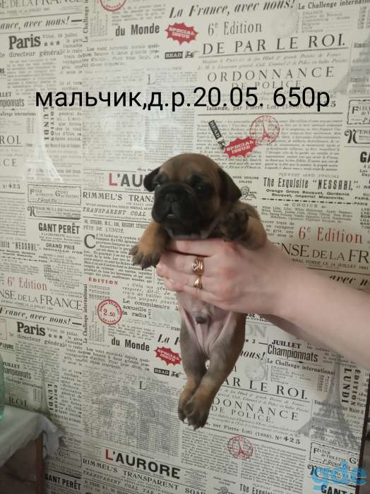 Мальчик и девочка,красные,д.р.20.05., кушают сами, фотография 1