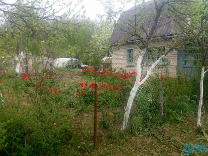 Продам Дачу, Садовое товарищество Родник-2 (д.Берестеново), 15км от Орши, фотография 4