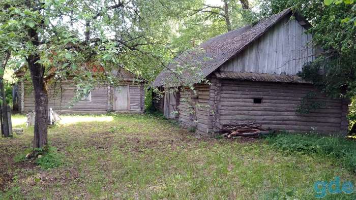 Дом у реки, д.Русаки Поставского района, курапольский с/с, фотография 5