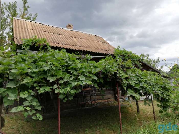 Продам дом  г. Рогачев д.Щибрин, фотография 4