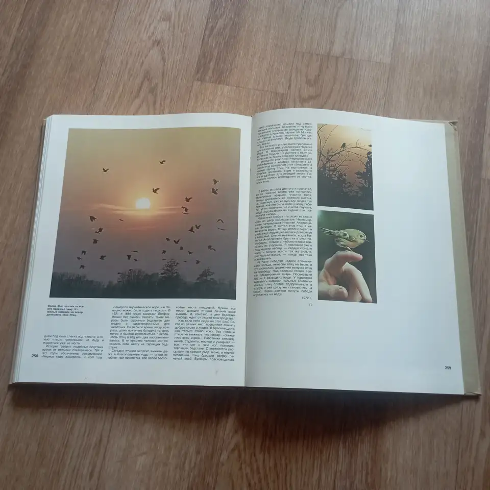 Книга Проселки (В. Песков, 1987 год), фотография 2