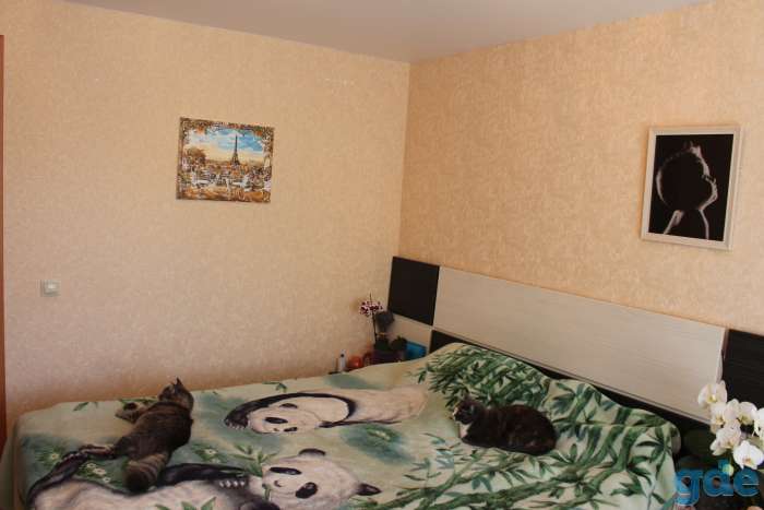 Продам квартиру, ул.П.Бровки, 15, фотография 6