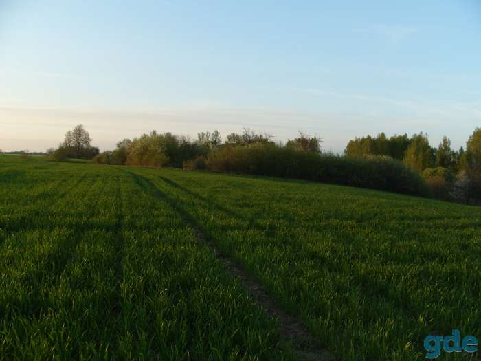 Срочно!!! Продаётся Дом в д.Полоная, Гродненская обл., Кореличский р-н !!!, фотография 8
