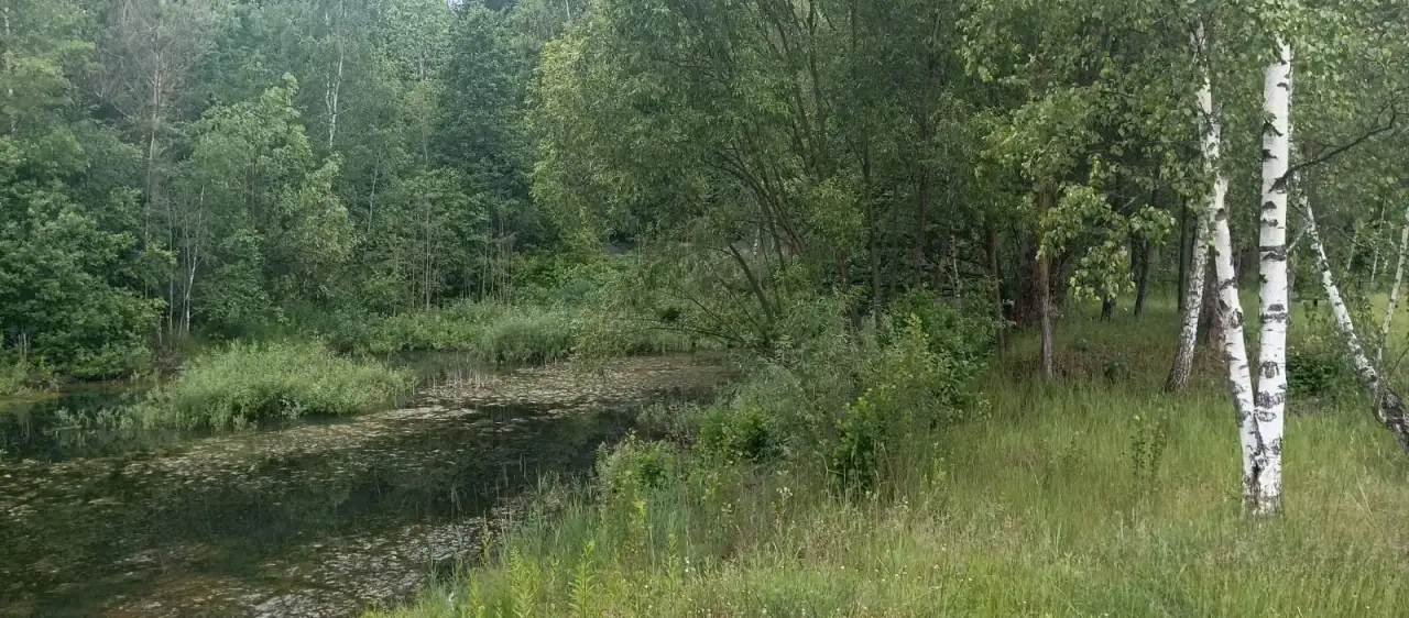 Продается производственный цех 1300 м на участке 2 га с озером и лесом, фотография 9