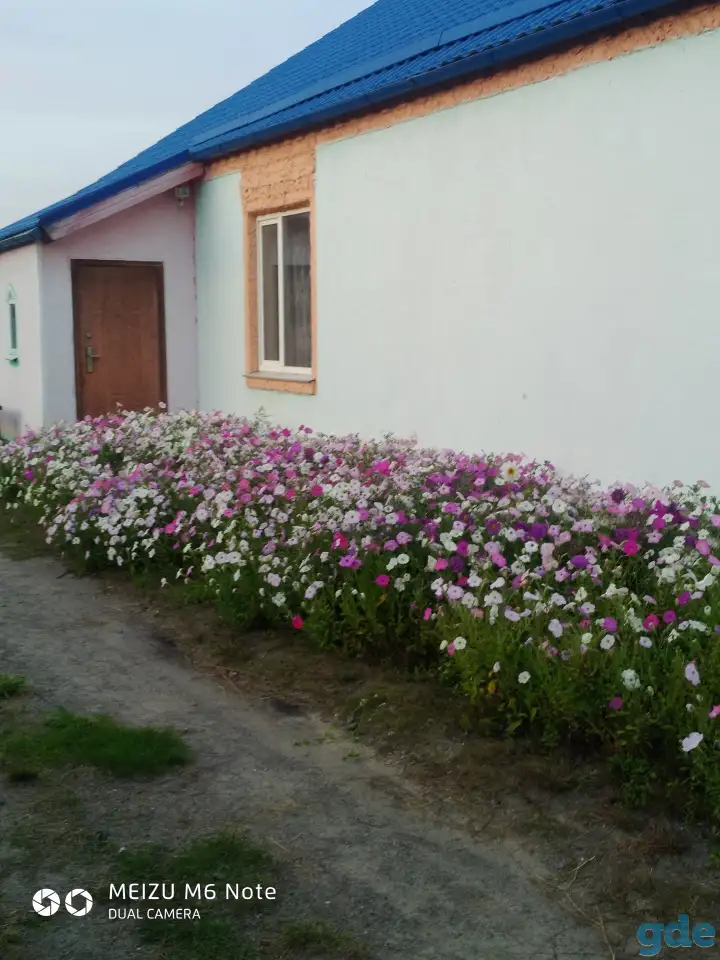 Продаю благоустроенный жилой дом в Дворце., а/г ДВОРЕЦ,ул.Садовая,124 А, фотография 2
