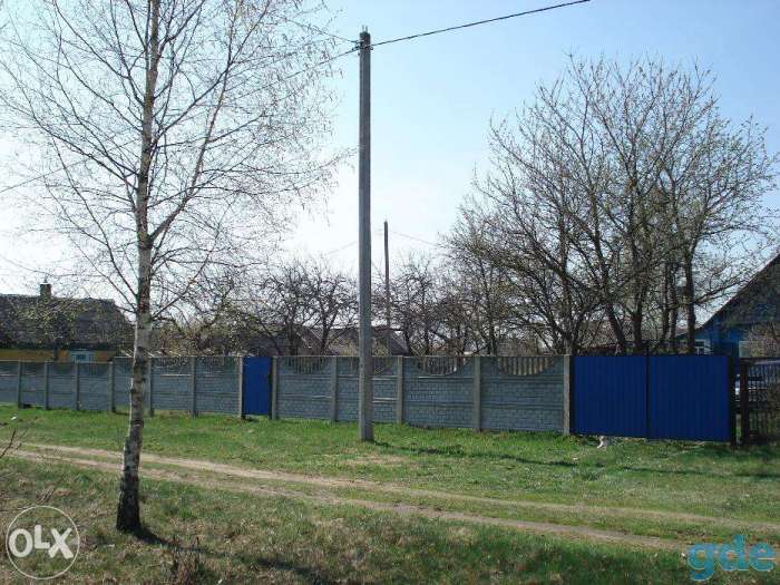 дача в тихом живописном месте, д. Великое Поле, фотография 4