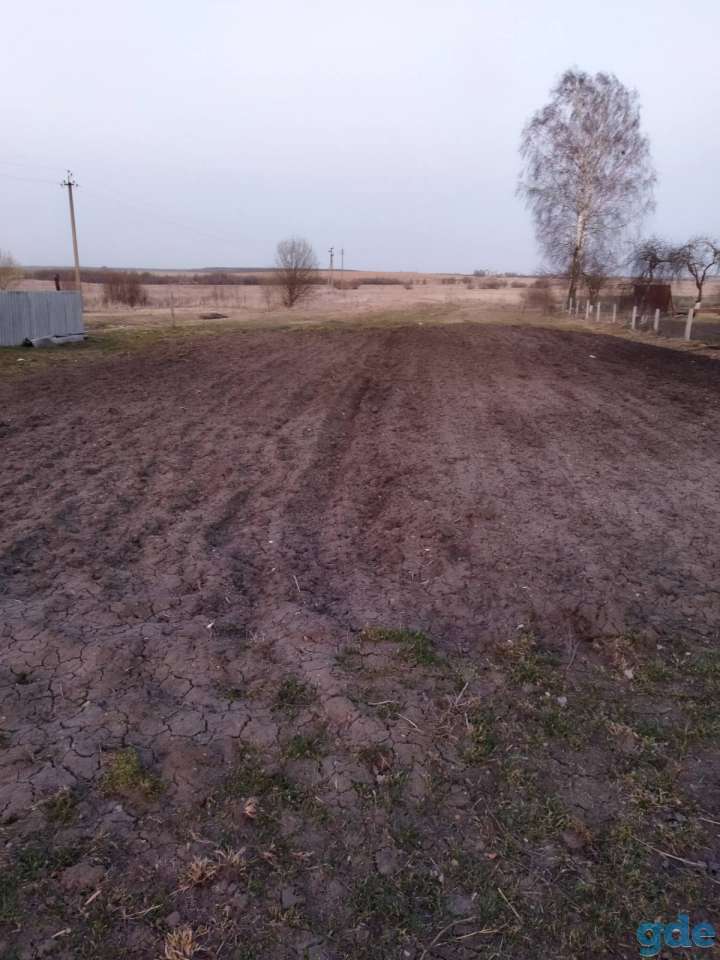 Дом в деревне 92 км от МКАД, Гродненская обл., Кореличский р-н, Мирский с/с, д.Оюцевичи, фотография 6