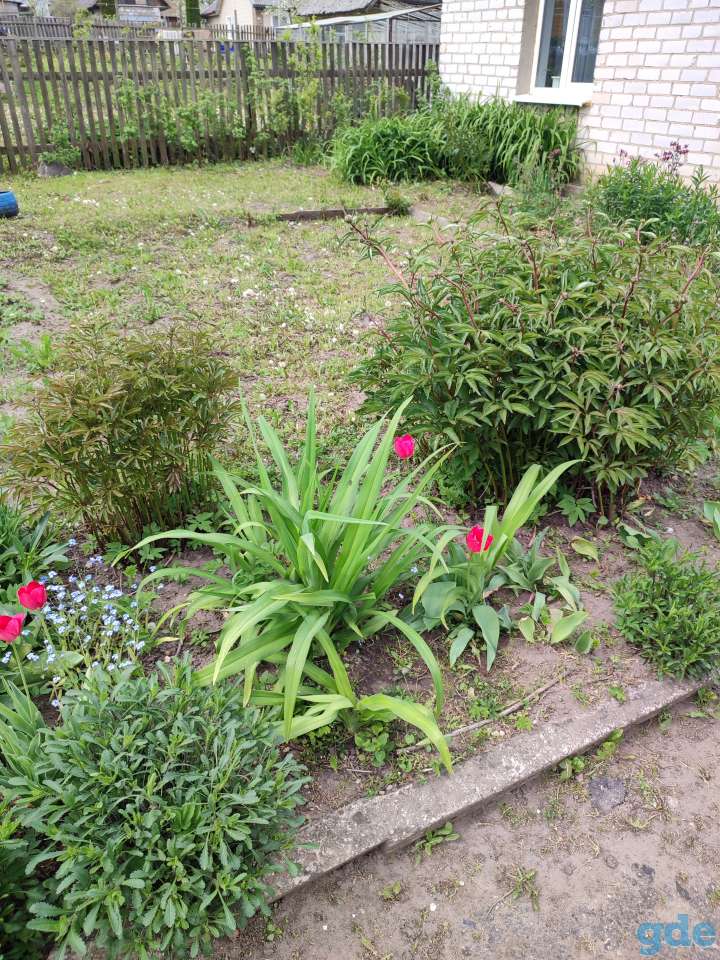 Продам дом, Ул.Мицкевича д38, фотография 9