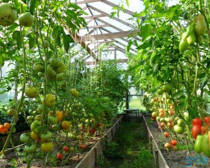 Продажа участка с домом, Минская обл. Вилейский р-н.Дер.Заозерье, ул Центральная, 12, фотография 9