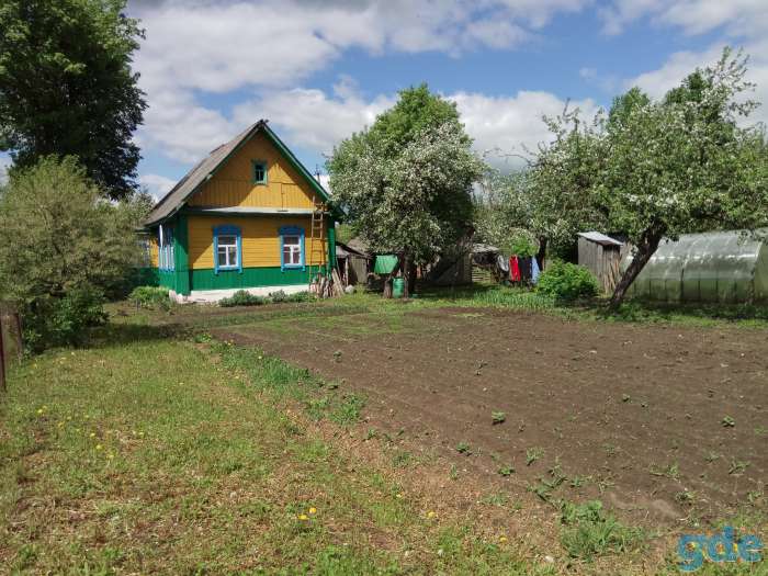 Дом в дер. Боровка, фотография 2