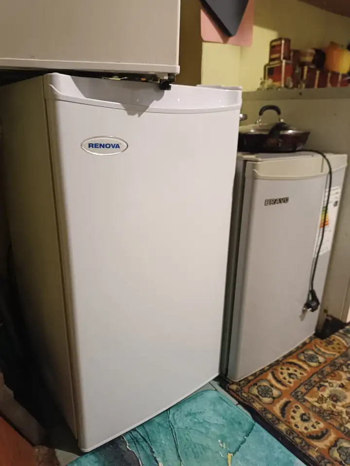 Холодильник офисный с морозилкой Renova RID-100W 100л 20кг 85см, фотография 9