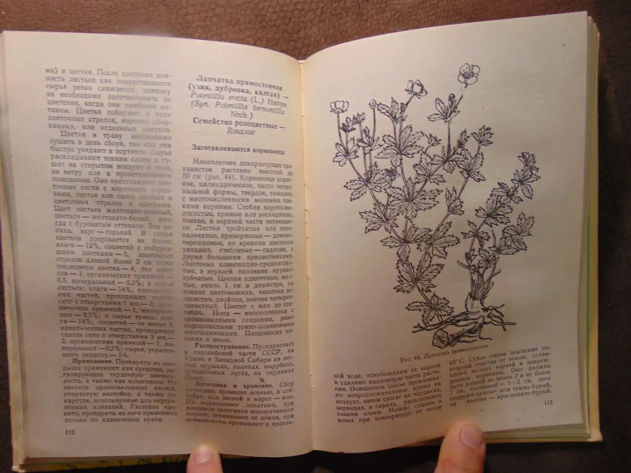 Заготовка дикорастущей продукции (пособие), издательство Ураджай, 1977 год, 240 страниц. Авторы: Коршиков Б. М., Митюков, фотография 7