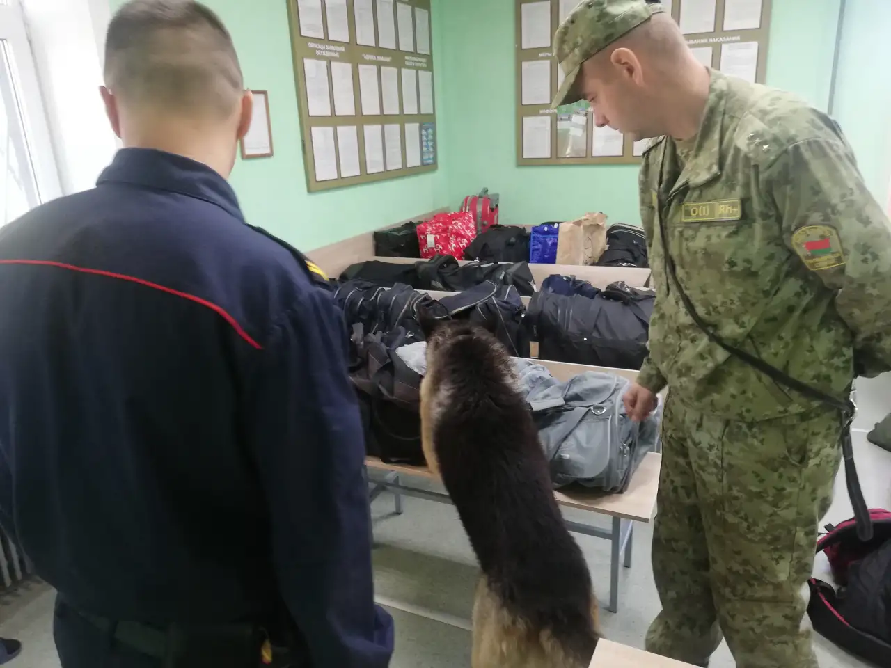 Гродненская пограничная группа осуществляет набор кинологов для службы на контрактной основе. Зарплата от 2200, фотография 8