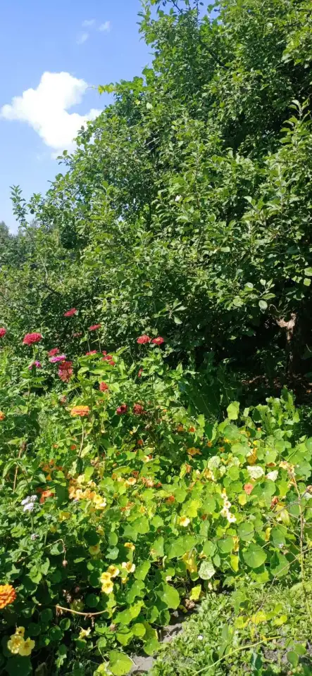 Продам дачу, район с/т Промстроитель, фотография 3